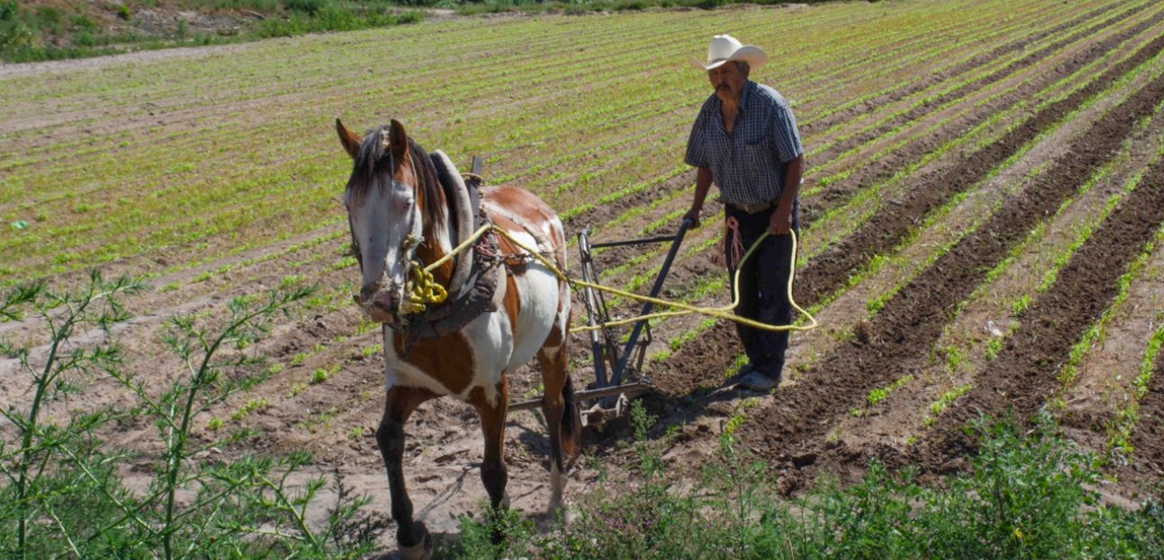 Señaló que el campo atravesó una etapa de sequía que impedía arriesgarse a sembrar