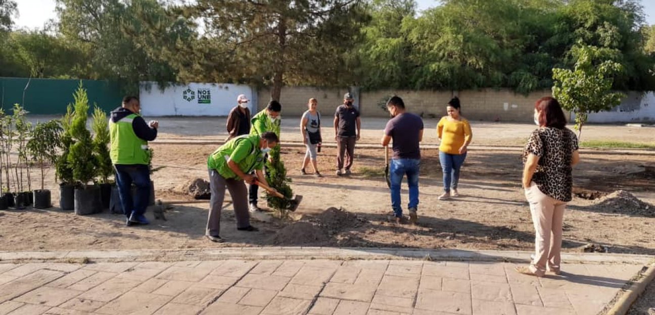 Como parte del compromiso con el medio ambiente, se llevó a cabo un proyecto de reforestación en todas las áreas verdes y colonias del municipio