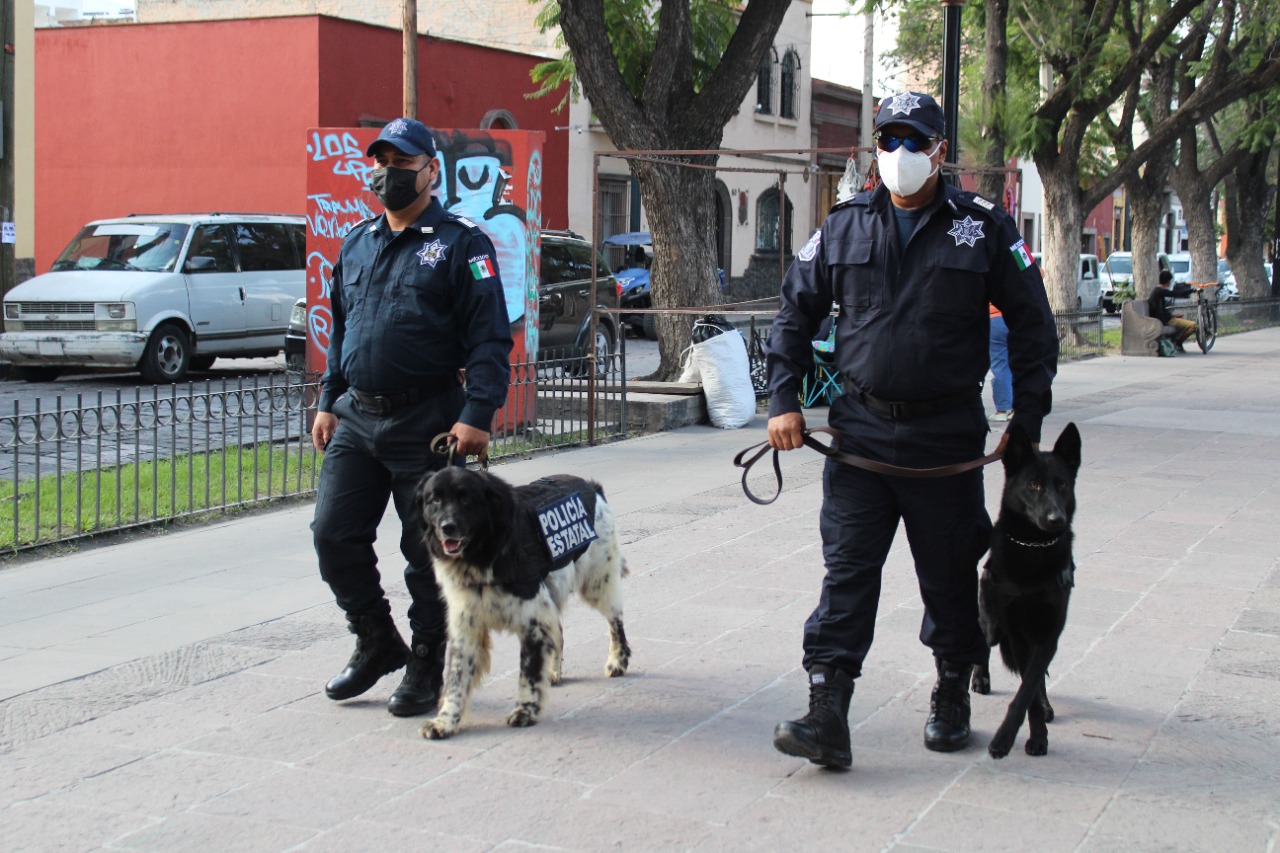 Policía Estatal, realiza diferentes actividades, tales como servicios de guardia y protección, detección de enervantes y proximidad social