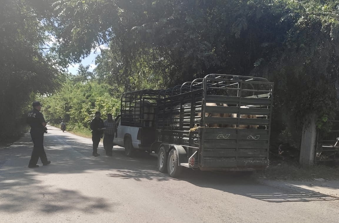 Elementos de la Policía Estatal adscritos a la zona Huasteca, realizan diversos operativos en los ejes carreteros con mayor circulación