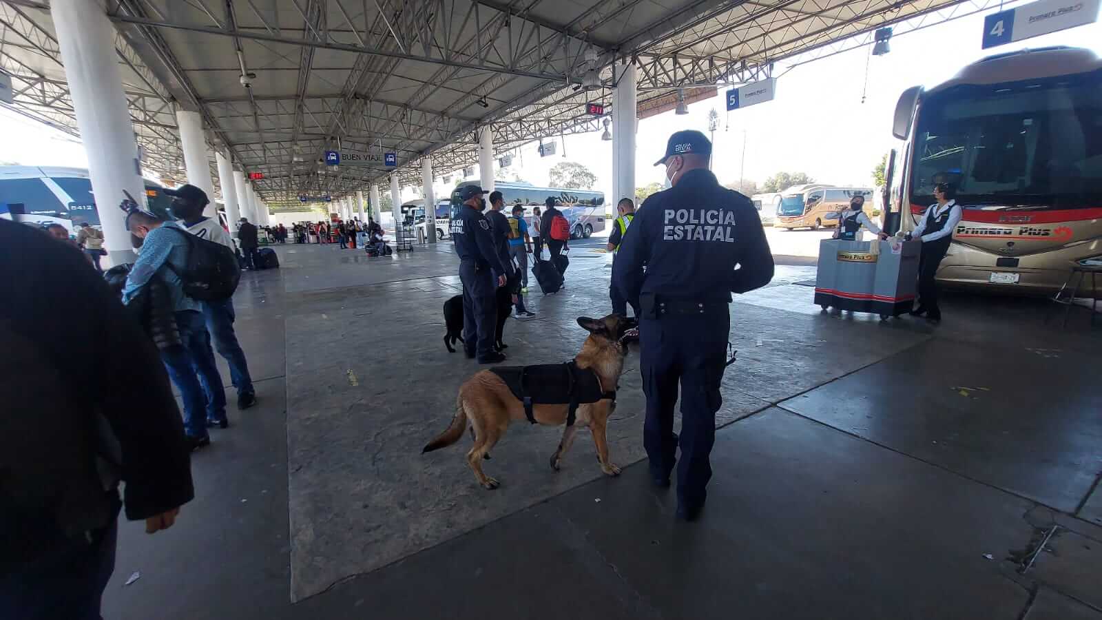 Policía de la Unidad de Prevención del Delito, llevan a cabo recorridos en la central de autobuses, con el fin de prevenir delitos.