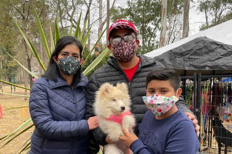 Arranca campaña de esterilización gratuita en Centros de Desarrollo Comunitario del Ayuntamiento