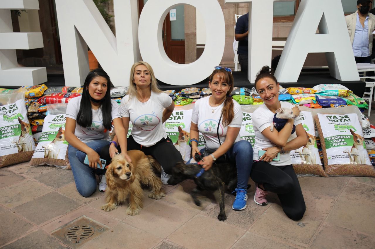 las asociaciones podrán costear otros gastos como atención médica veterinaria o continuar con sus programas de esterilización