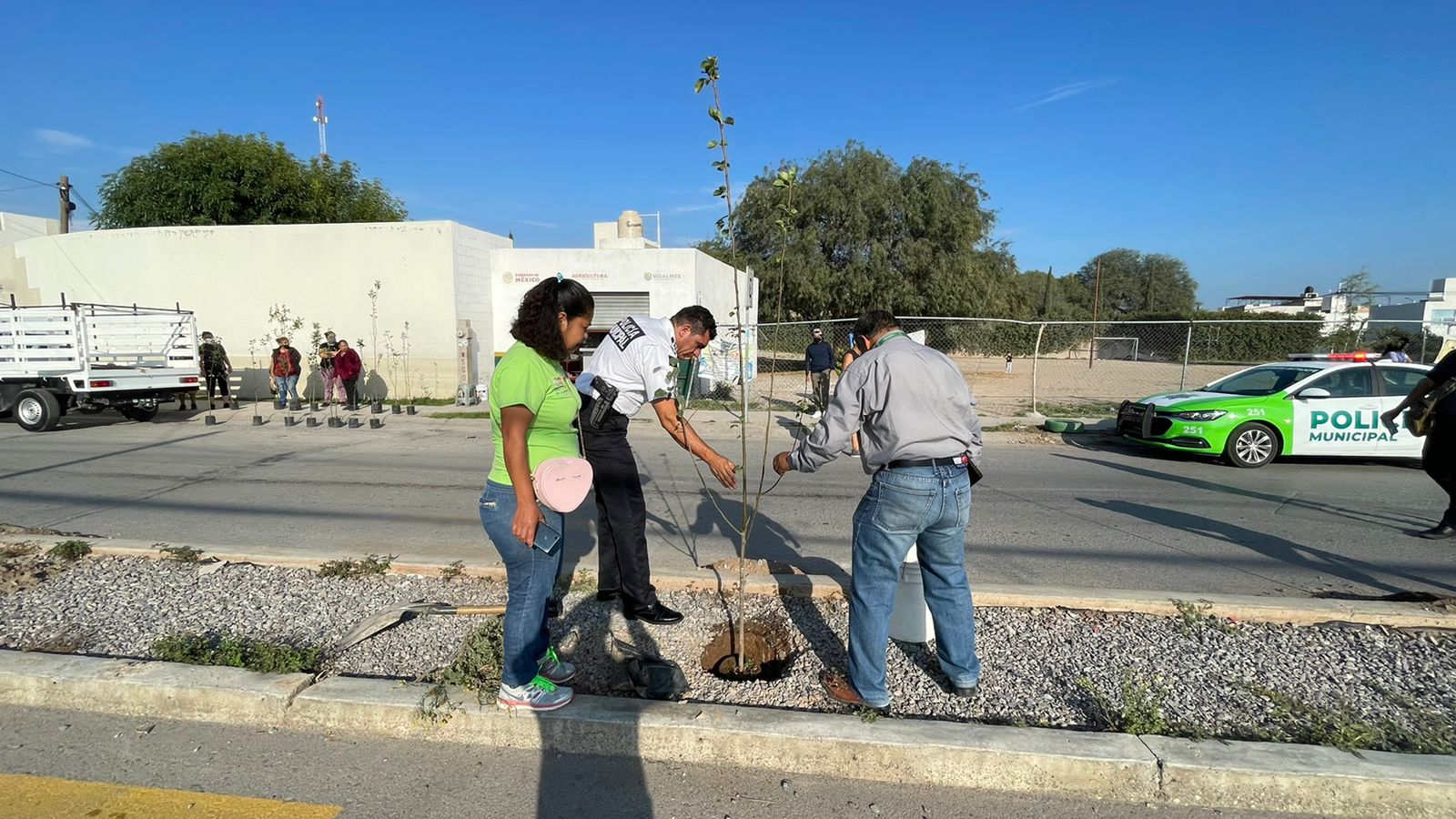 Continúa el programa de reforestación en colonias de Soledad