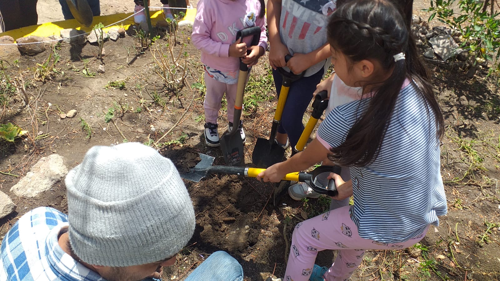 A través del Centro de Información y Educación Ambiental se incentiva la creación y habilitación de jardines polinizadores.