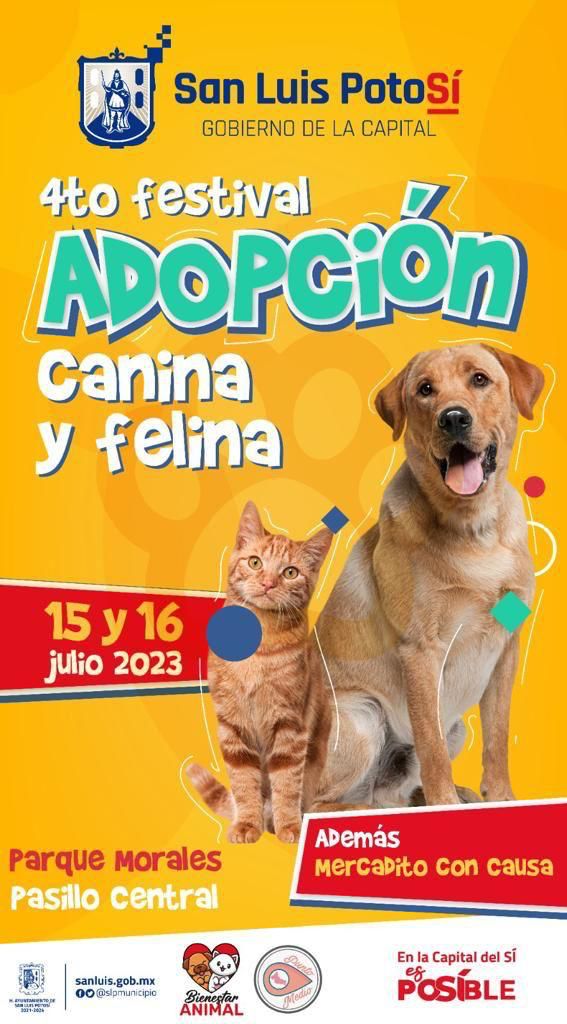 Gobierno de la Capital fomenta el bienestar animal con el 4º Festival de Adopción Canina y Felina