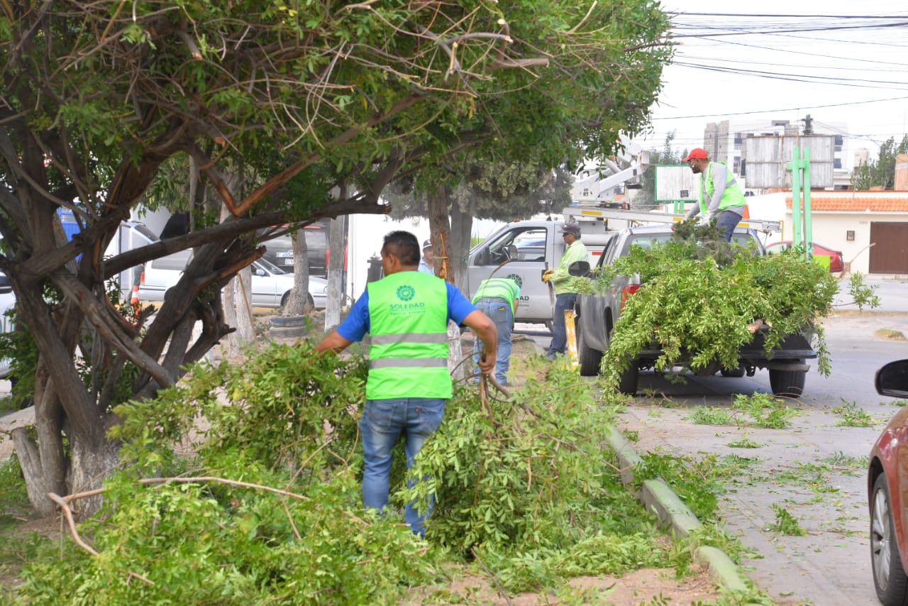 El personal contratado reforzará las acciones de las coordinaciones de Parques y Jardines, Aseo Público e Imagen Urbana y Alumbrado Público.