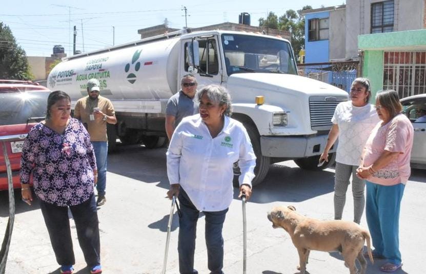 Se cercioró el avance en el padrón de árboles que requieren poda, algunos con altura de entre 20 y 30 metros.