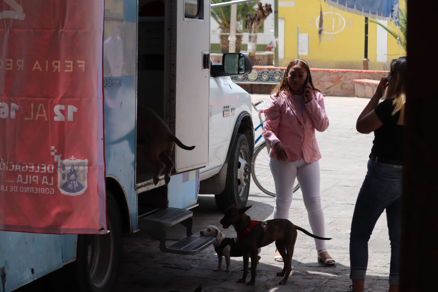 Más de 180 mascotas obtuvieron su registro en la demarcación, informó el Delegado de La Pila, Luis Gerardo Aldaco.