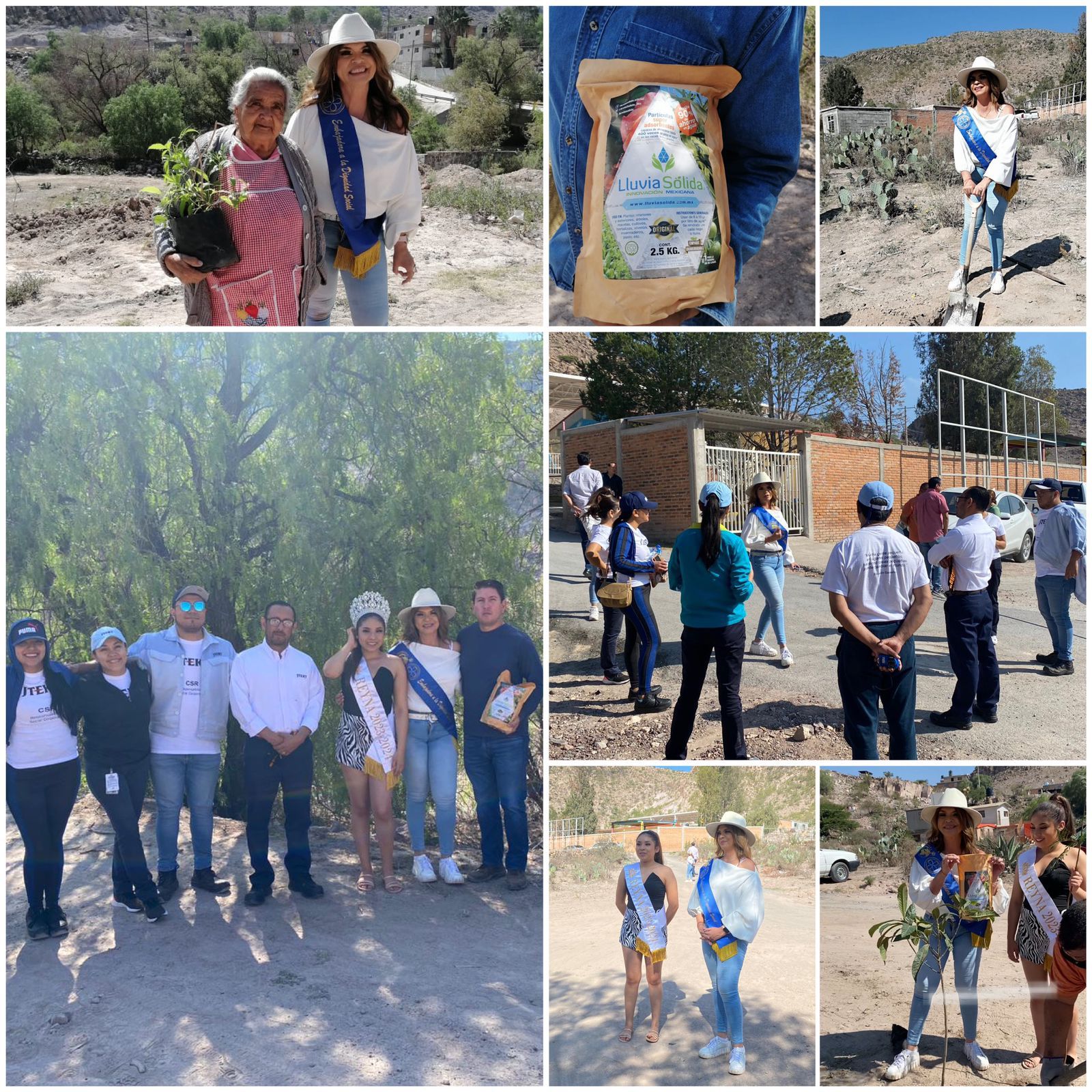 Más de 300 árboles de especies acordes al suelo y clima del lugar fueron plantados con participación comunitaria.