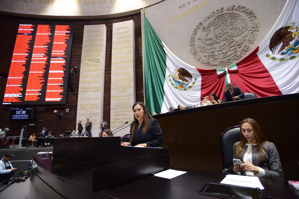 La iniciativa que promueve Sonia Mendoza Busca modificar el artículo 119 de la la Ley General de Desarrollo Forestal Sustentable.