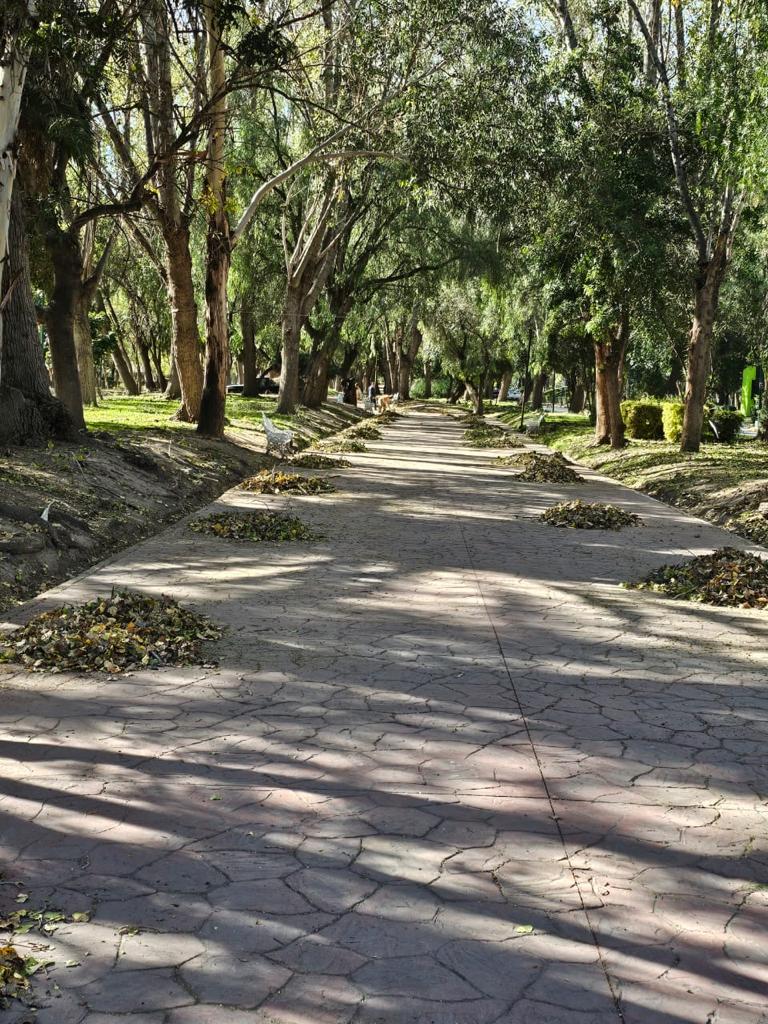 Inspeccionaron las áreas de los dos parques a fin de intervenir con los trabajos de limpieza para garantizar la seguridad de los visitantes.