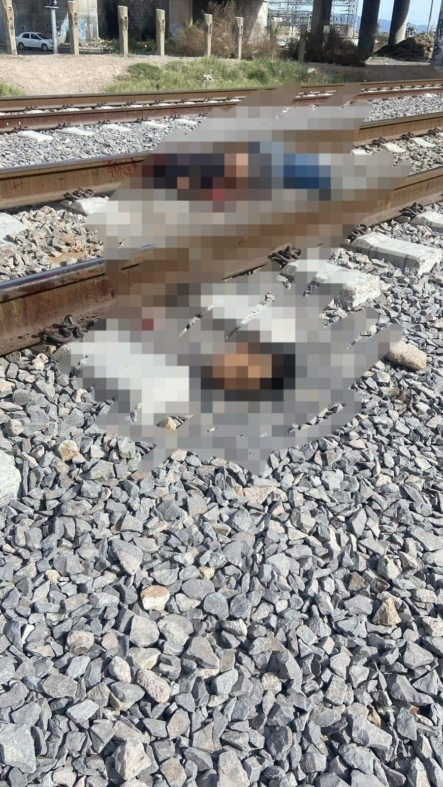 Esta tarde se registró el hallazgo de un cuerpo cerca de la vías de la colonia Arbolitos, presuntamente de una persona que fue arrollada por el tren y que perdería la vida.