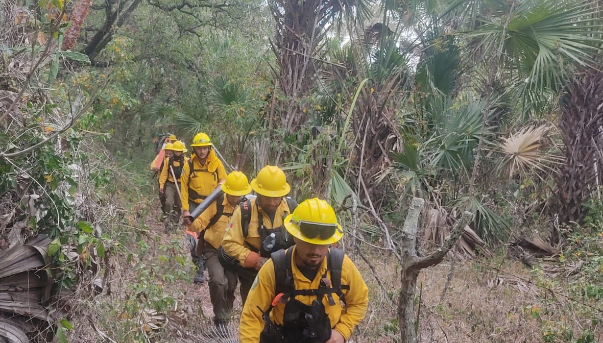 Combaten 250 brigadistas incendios forestales en SLP