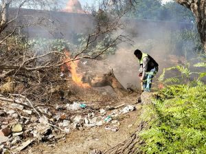 Gobierno de Soledad exhorta tomar medidas preventivas y evitar incendios en baldíos