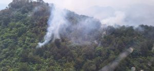 Gobierno estatal atiende incendio forestal en Xilitla