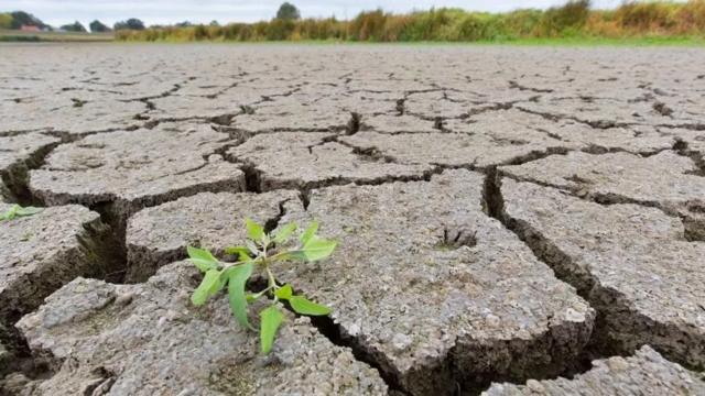 Plan de sequía en San Luis Potosí aún sin aprobación federal: Secretario General de Gobierno