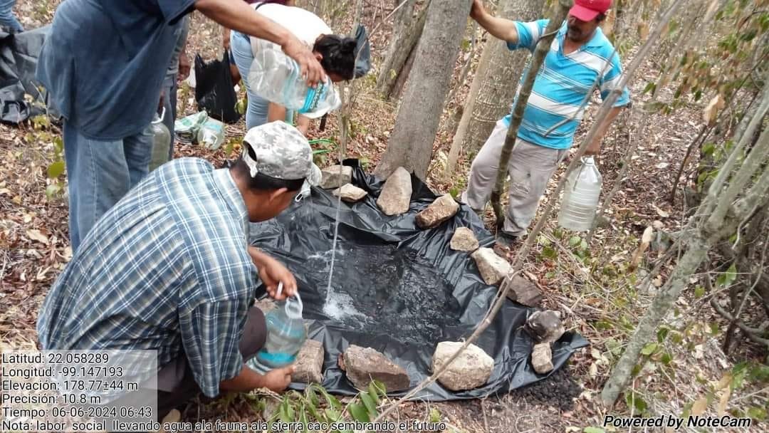 Ambientalistas instalan bebederos en Sierra "La Colmena" para ayudar a animales con la sequía