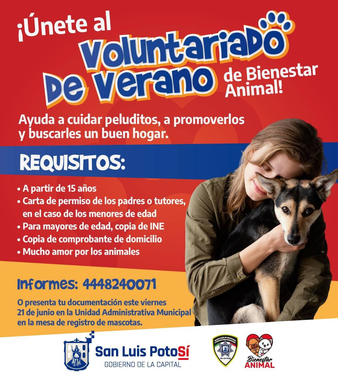 Gobierno de la Capital invita a participar en el voluntariado de verano de Bienestar Animal