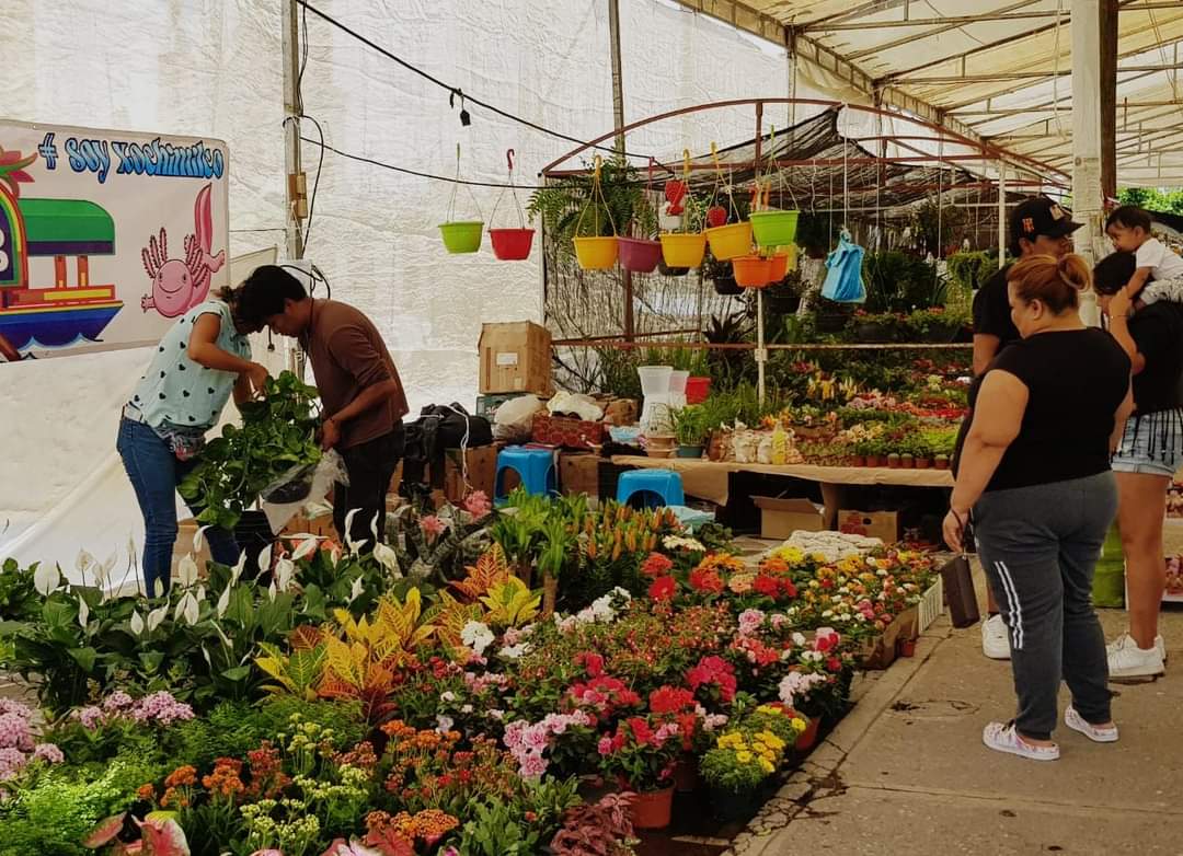 Festival de las flores 2024 en Soledad amplía capacidad para recibir a más expositores