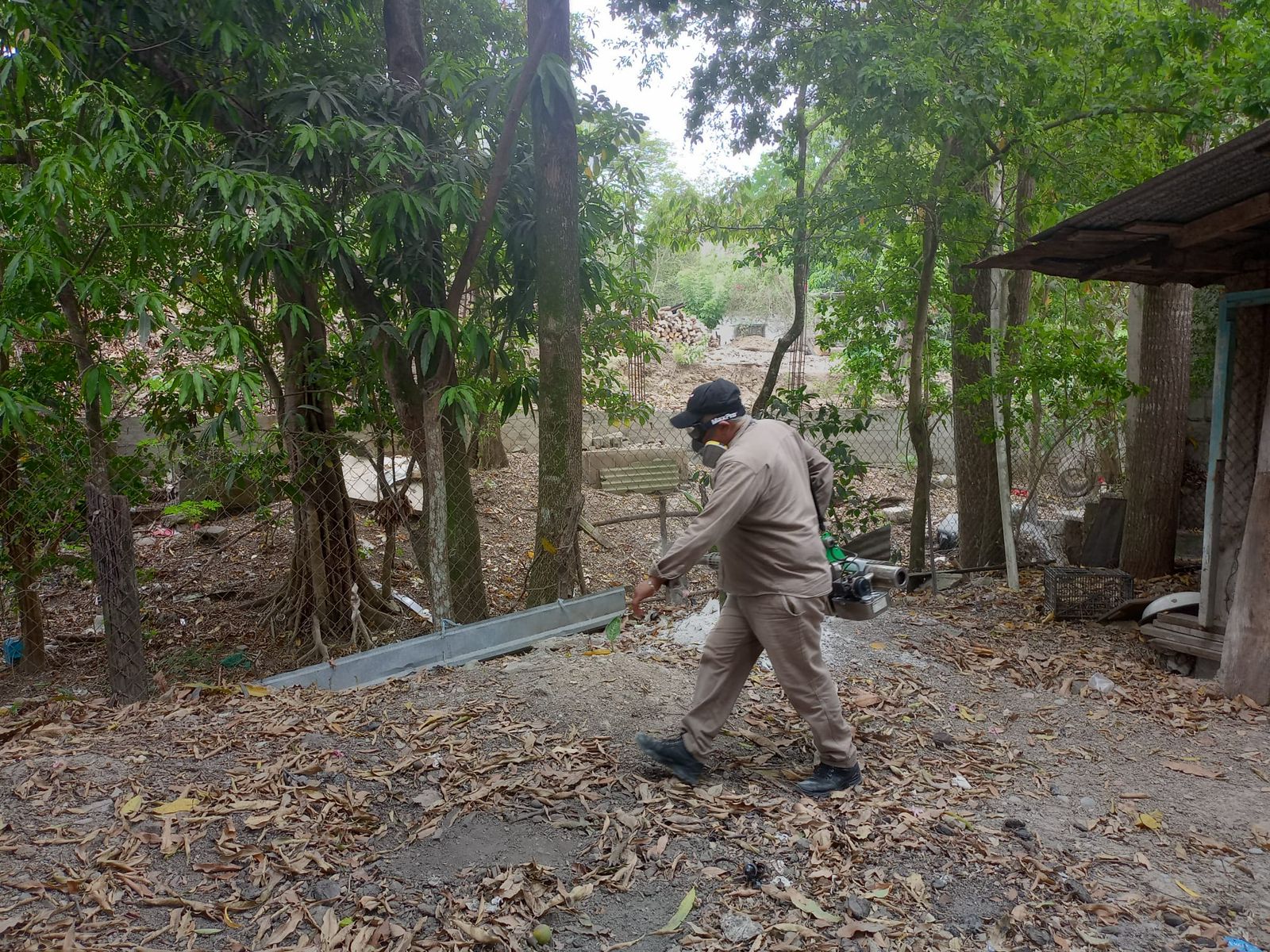 Se han confirmado en el Estado 246 casos  de dengue en el Estado