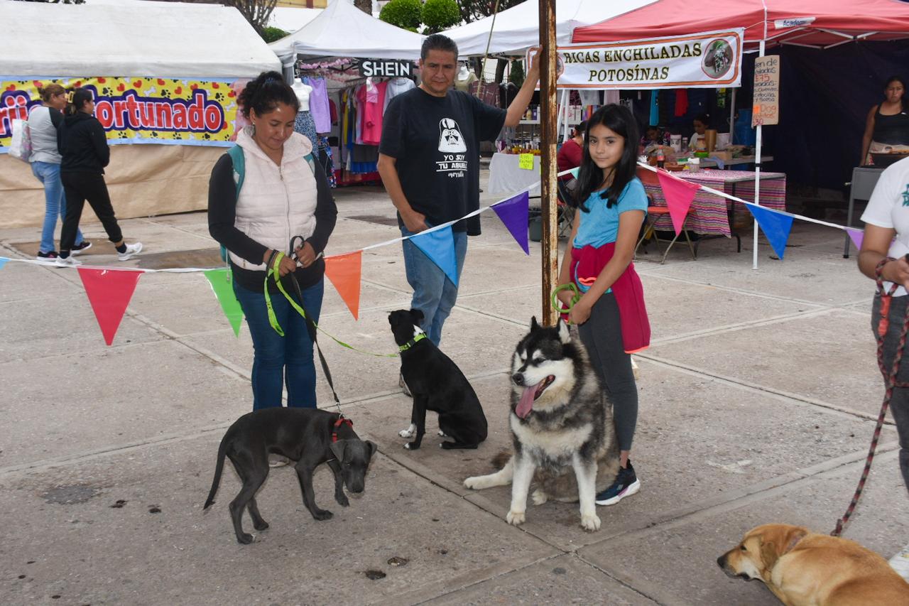 Inicia el Dog Fest en Soledad, evento dedicado a amantes y protectores de perros