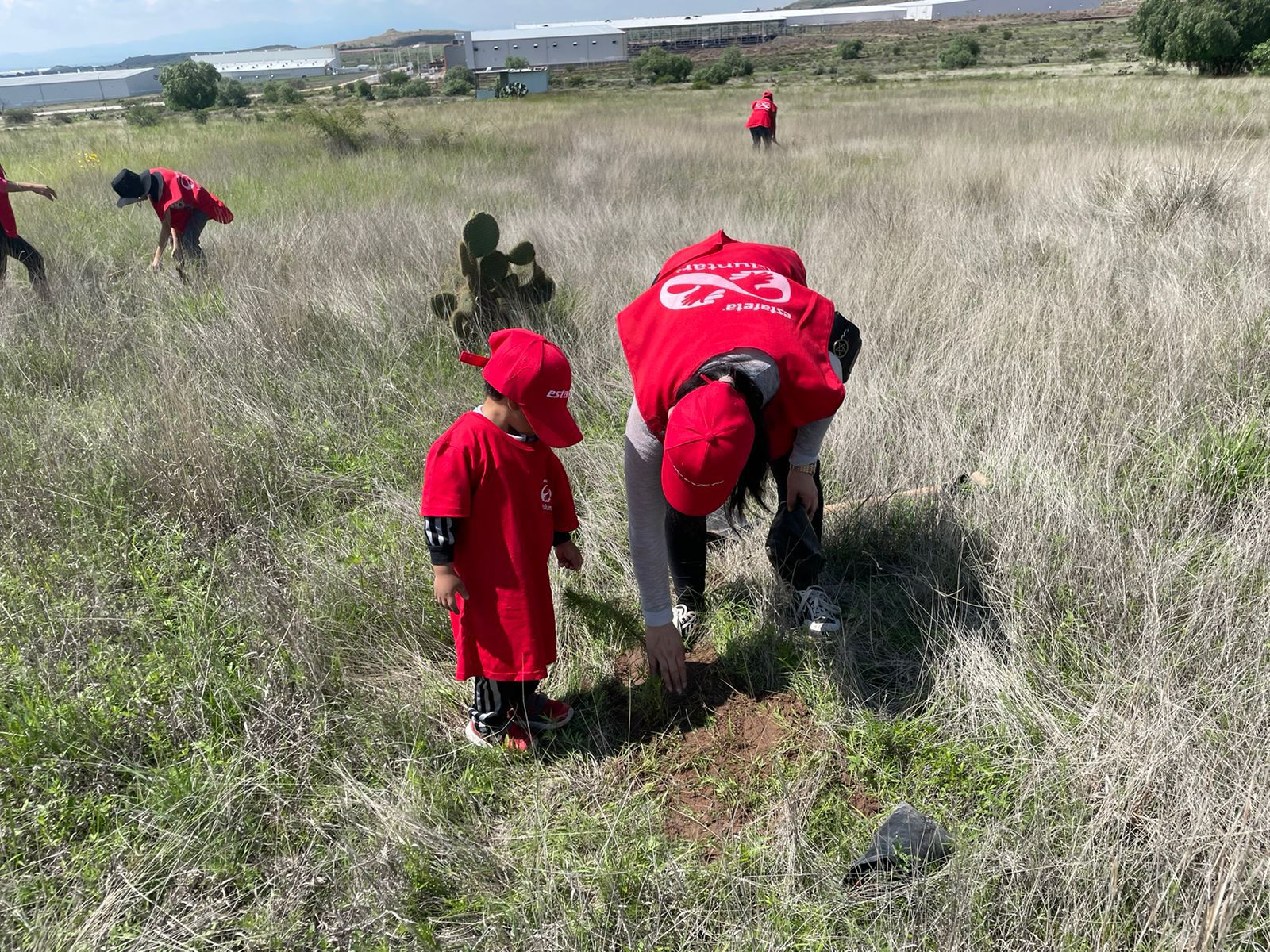 Más empresas se suman al programa Pulmones Urbanos, para aportar árboles para la reforestación de San Luis Capital