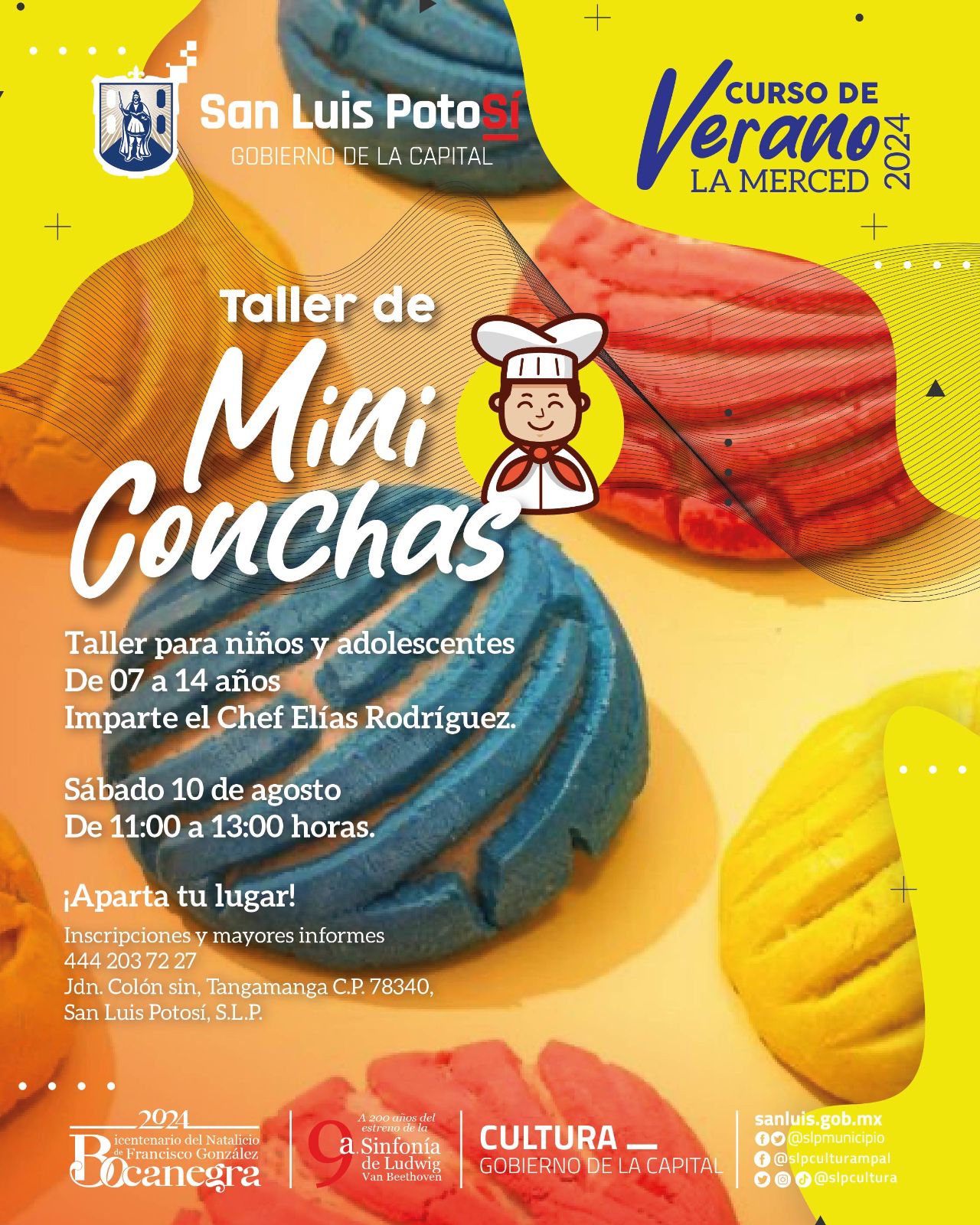 Cultura Municipal invita al taller de Mini Conchas para niñas, niños y adolescentes