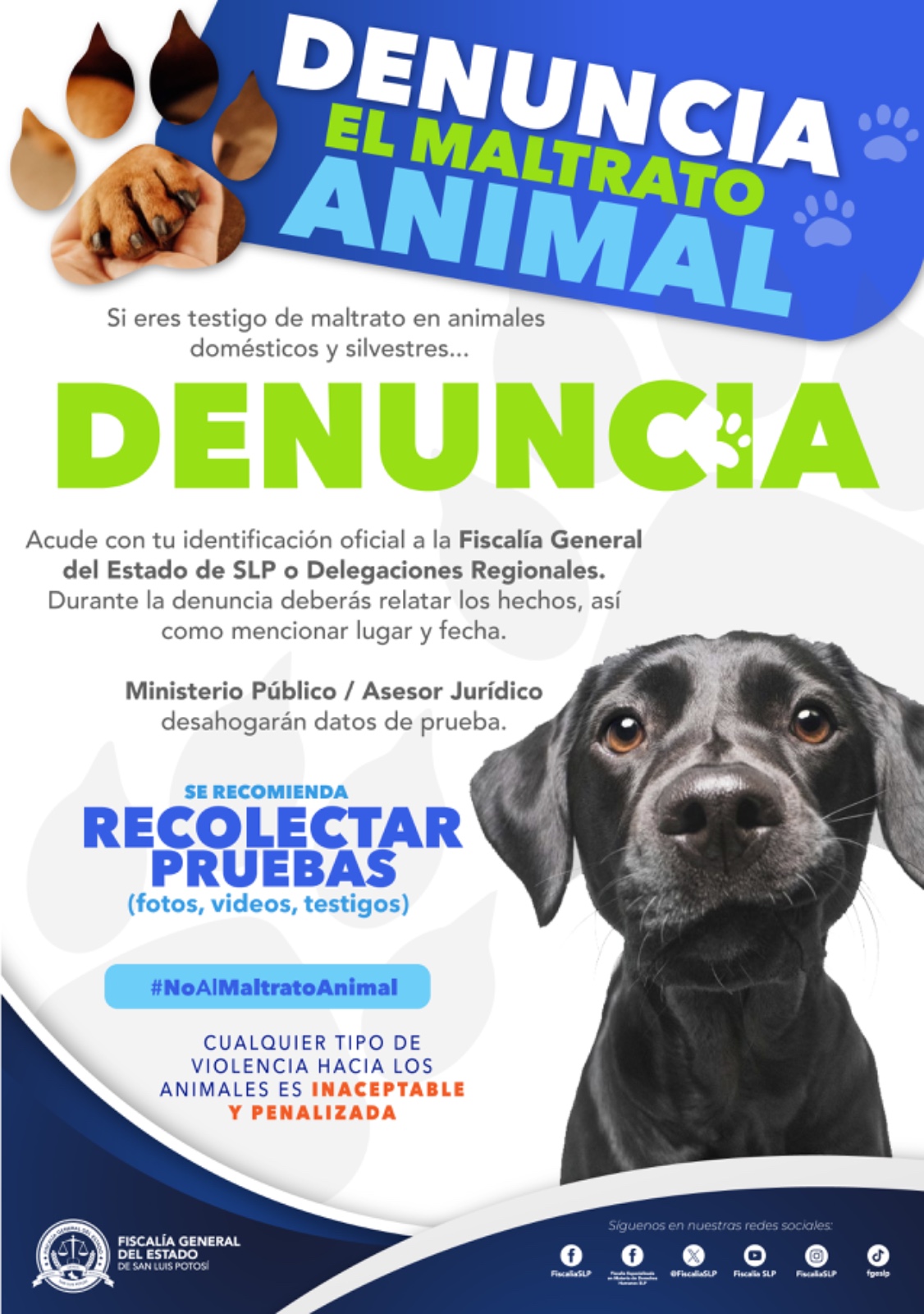 Fiscalía integra asunto por la muerte de un canino en colonia La Virgen, SGS