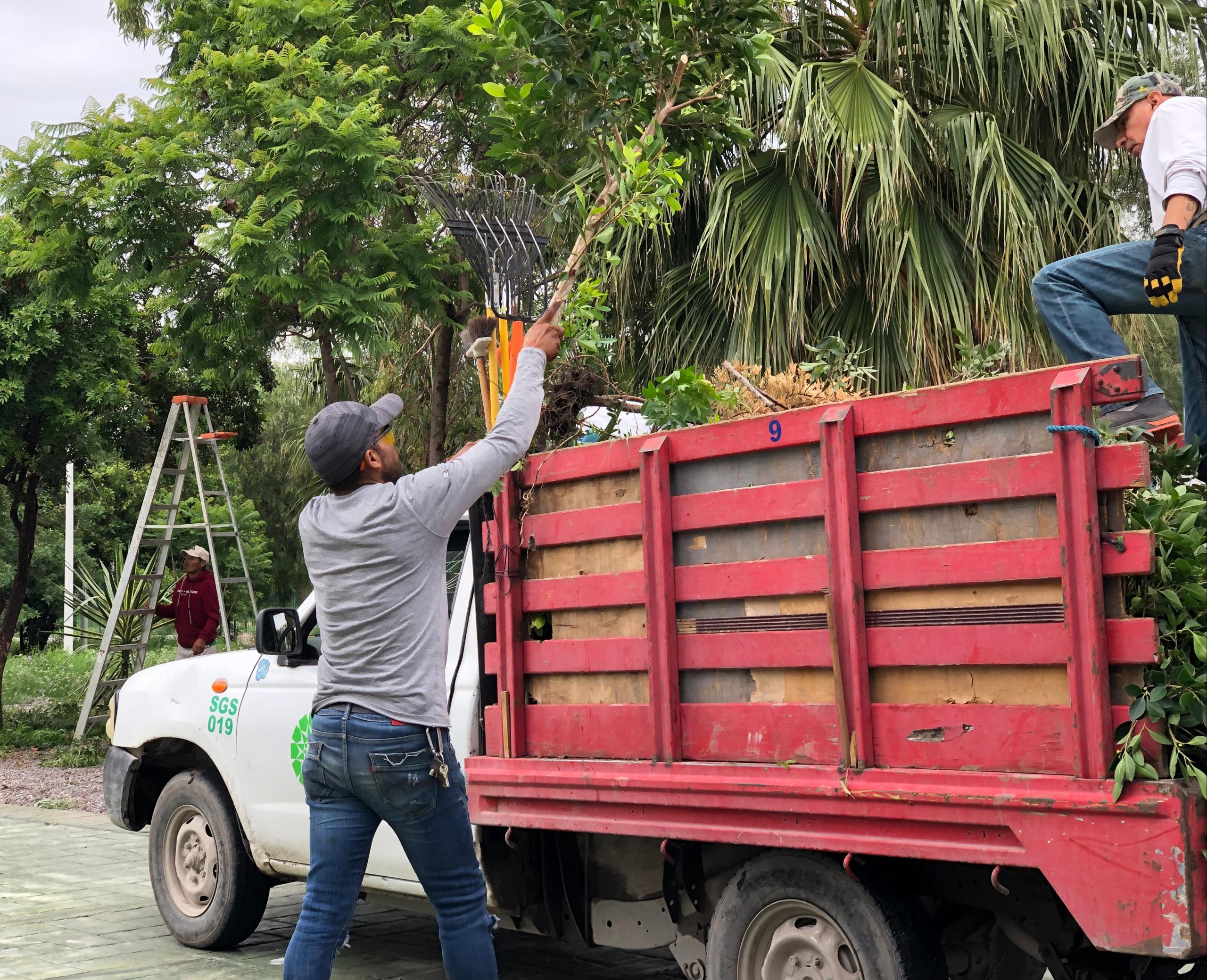 Intensiva campaña de limpieza urbana en Soledad de Graciano Sánchez