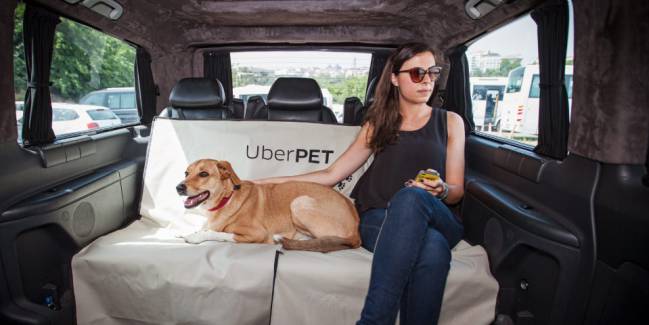 Uber Pet llega a México: ¡Viaja con tu mascota sin complicaciones!