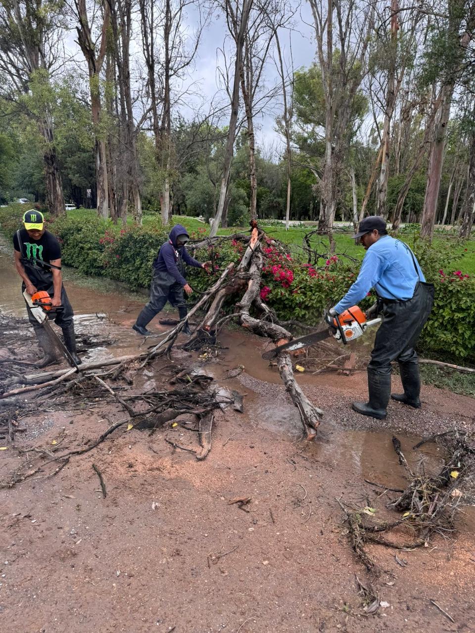 Gobierno fortalece la limpieza de parques estatales tras fuertes lluvias