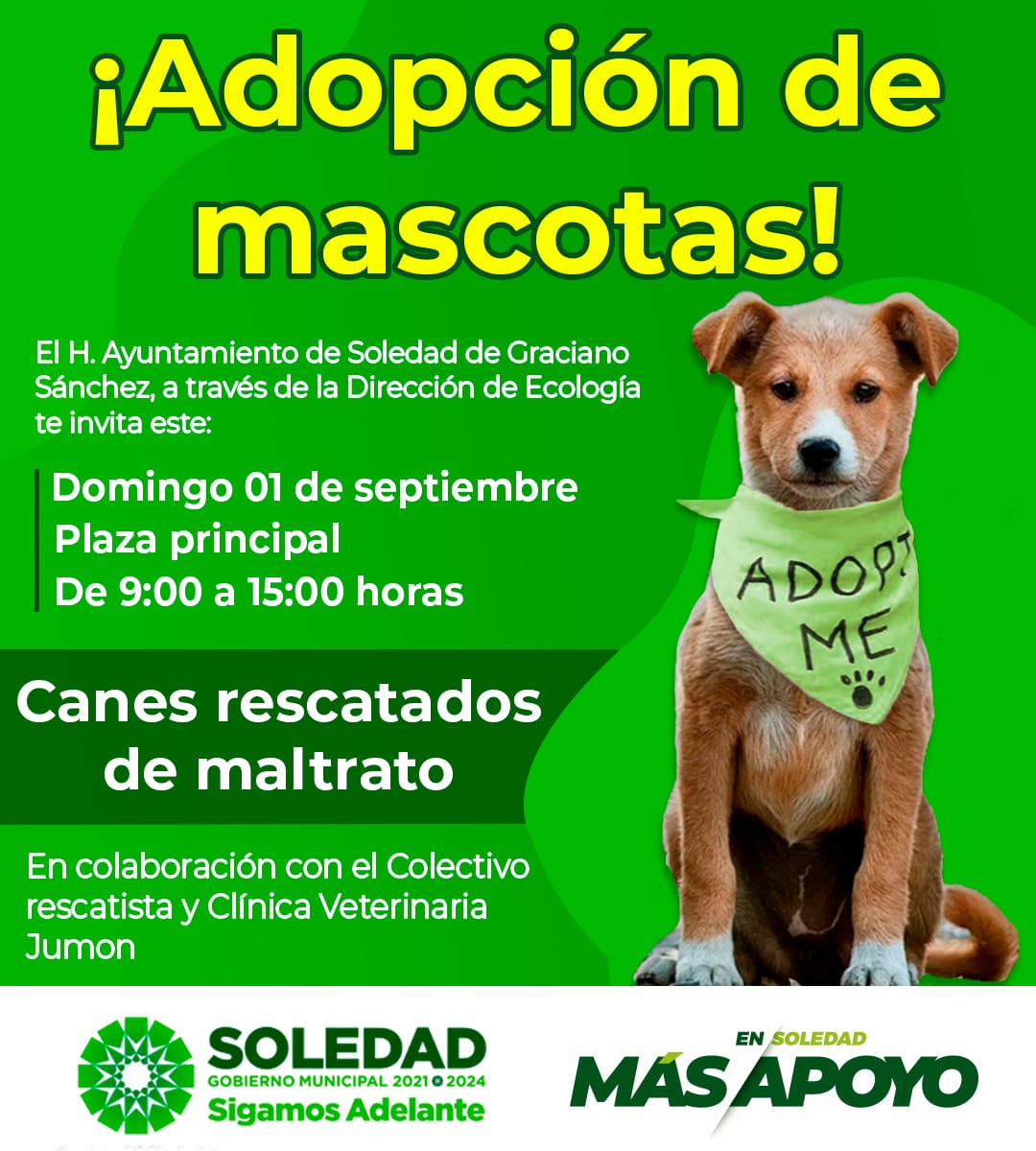 Más de 30 perros y gatos buscan un hogar, en un evento coordinado entre la Dirección de Ecología y asociaciones rescatistas locales.