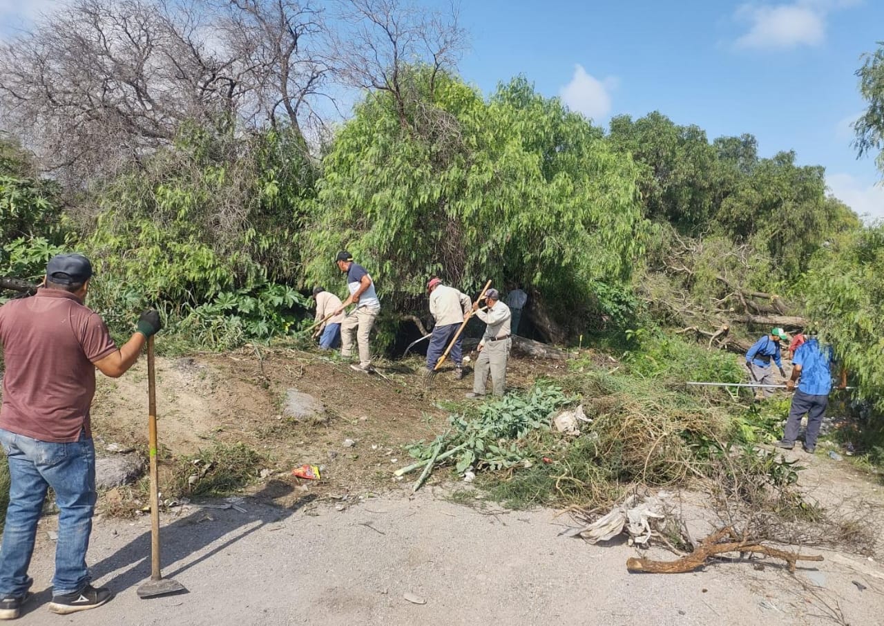 Limpieza preventiva de canales de riego en Soledad favoreció a productores locales