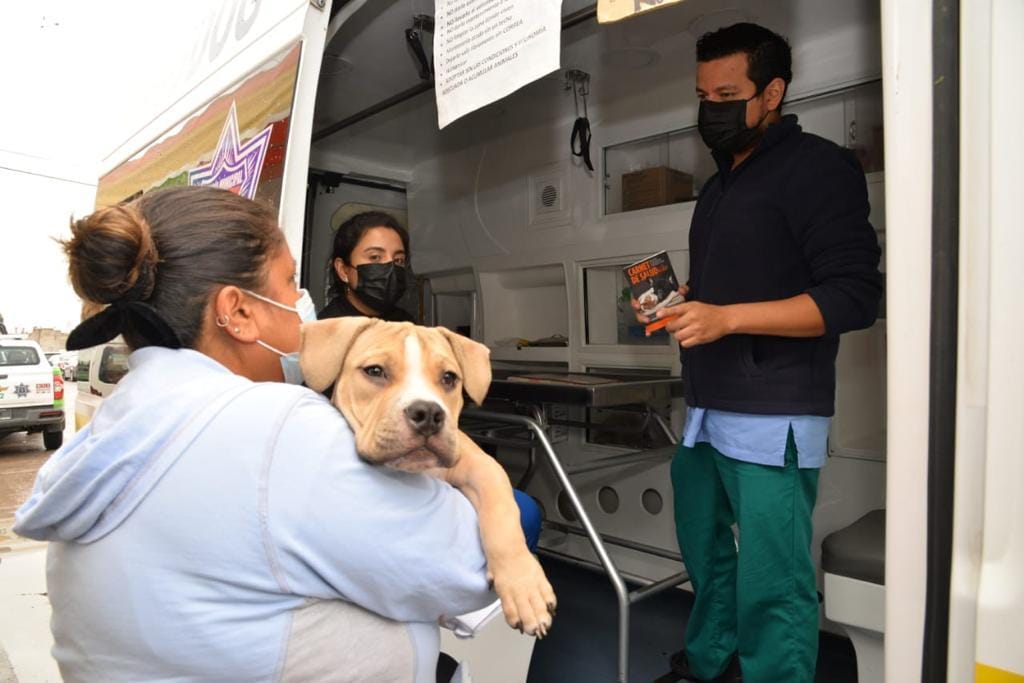 Más de 4 mil atenciones brindó ambudog en Soledad, en los últimos 3 meses