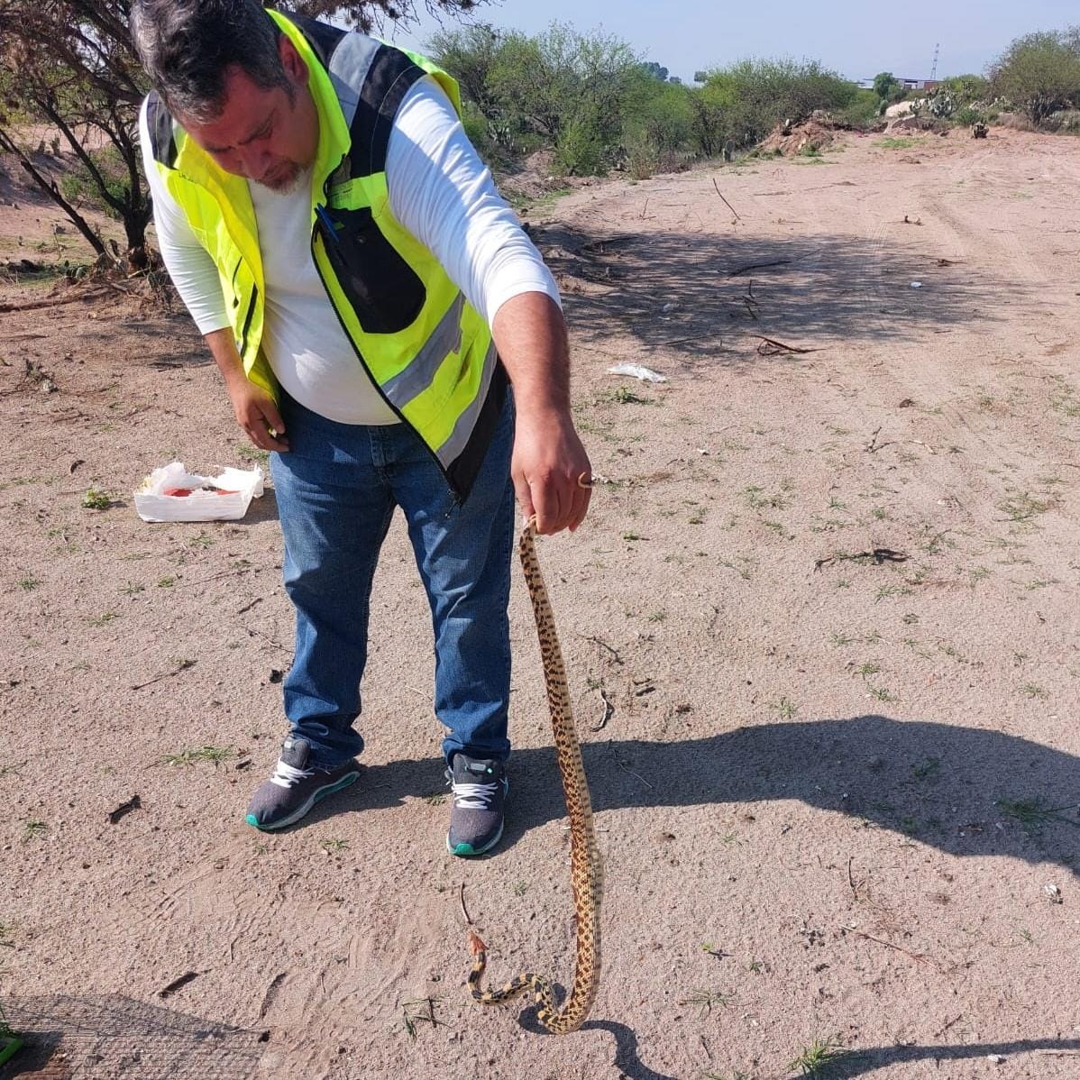 Protección civil de Soledad atiende reportes de fauna silvestre y enjambres