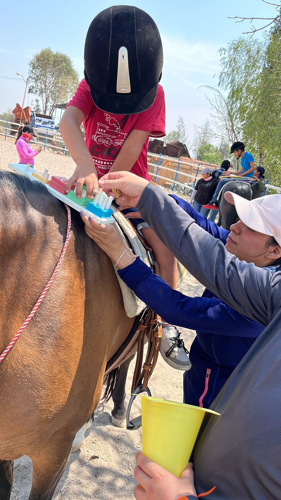 Presidenta del DIF Municipal SLP, Estela Arriaga, reafirma que se refuerza el tratamiento terapéutico con caballos en el "Día Internacional de la Equinoterapia"