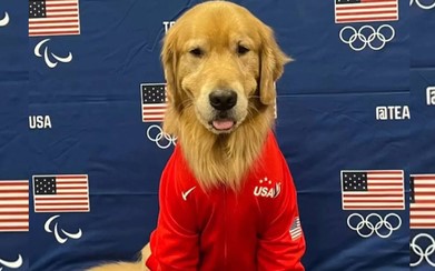 Beacon, el Perro Terapéutico que Transforma la Salud Mental en la Gimnasia Artística de EE.UU.