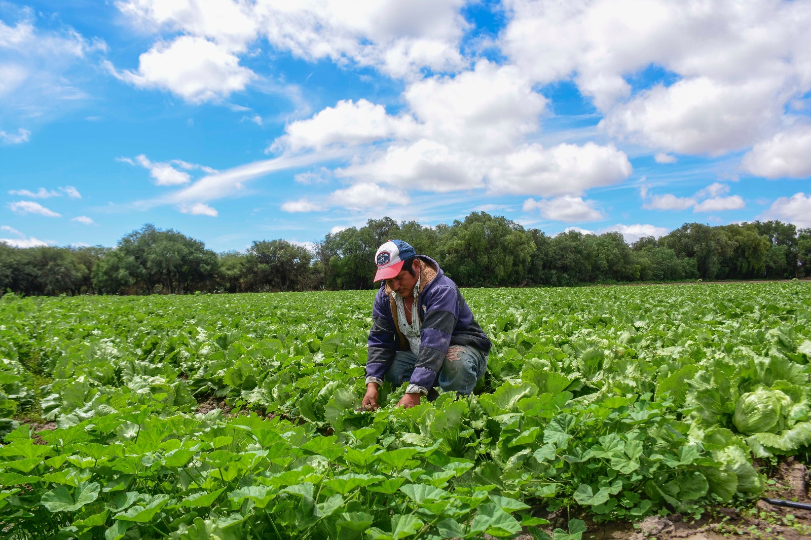 Gobierno de Soledad inicia registro de beneficiarios de apoyos agropecuarios