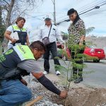 Gobierno municipal de Soledad amplía acciones de reforestación