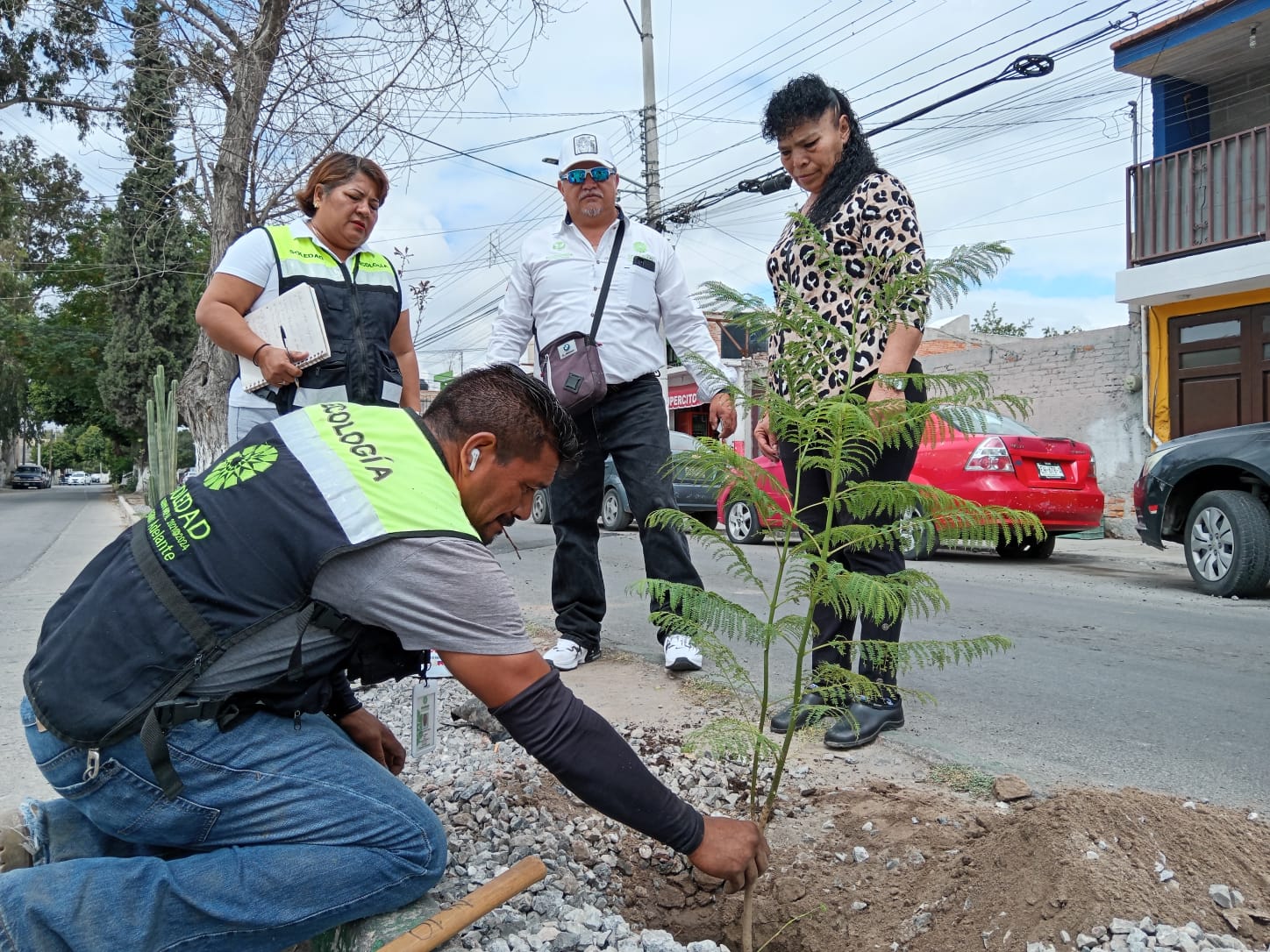 Gobierno municipal de Soledad amplía acciones de reforestación