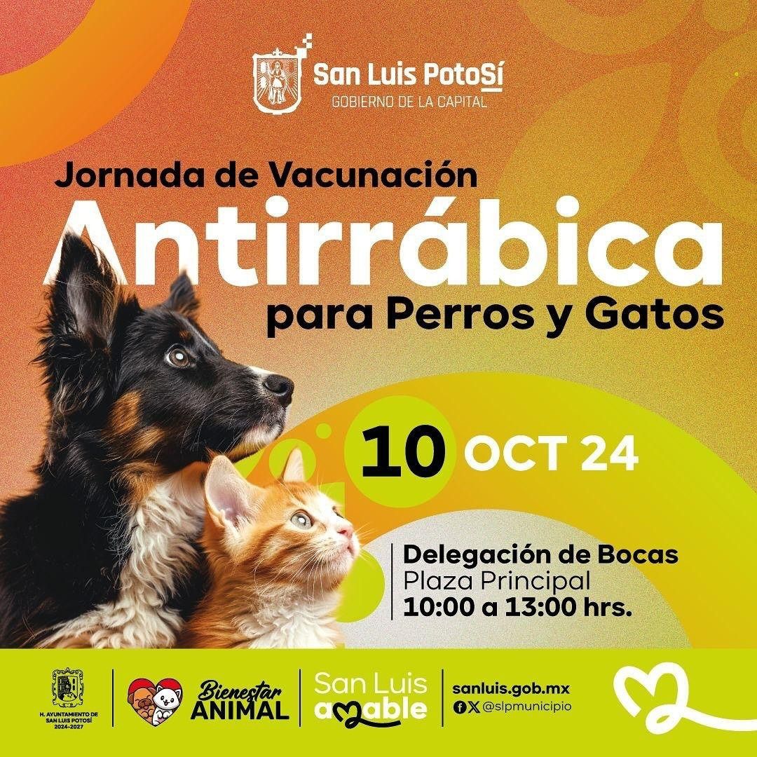 Este jueves arranca Campaña Municipal de Vacunación Antirrábica en la Delegación Bocas