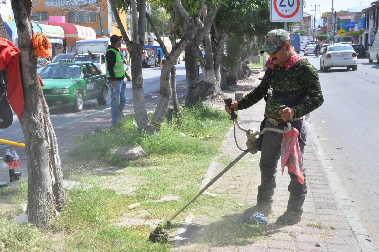 Servicios municipales de Soledad amplía horarios y lanza atención telefónica