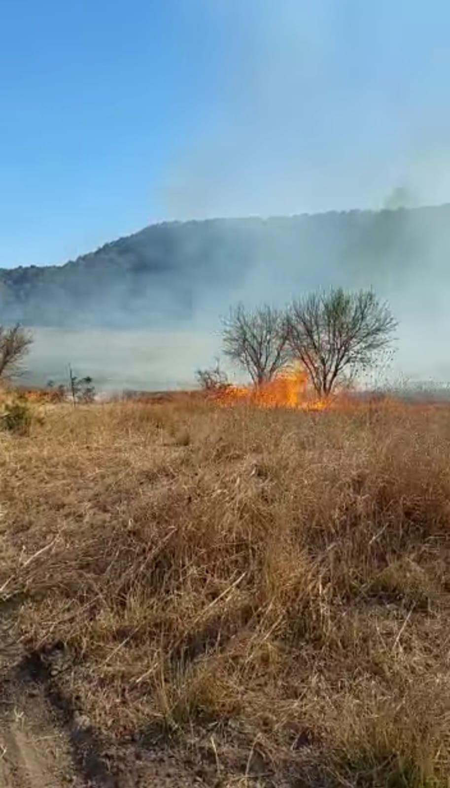 Disney plus incendió 10 hectáreas de campo sin autorización en Armadillo de los Infante