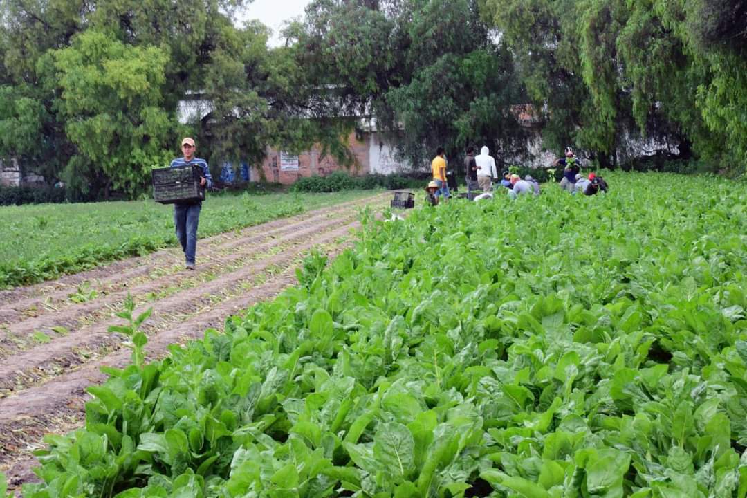 Alcalde de Soledad prepara apoyos fundamentales para el desarrollo agropecuario