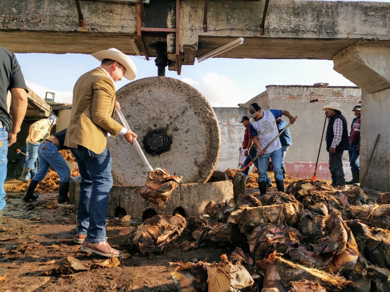 Especialistas vitivinícolas exploran la esencia del mezcal potosino