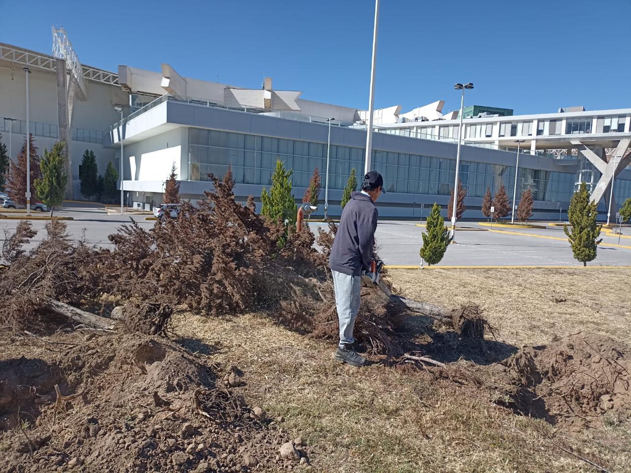 Gobierno estatal reforestará el centro de convenciones