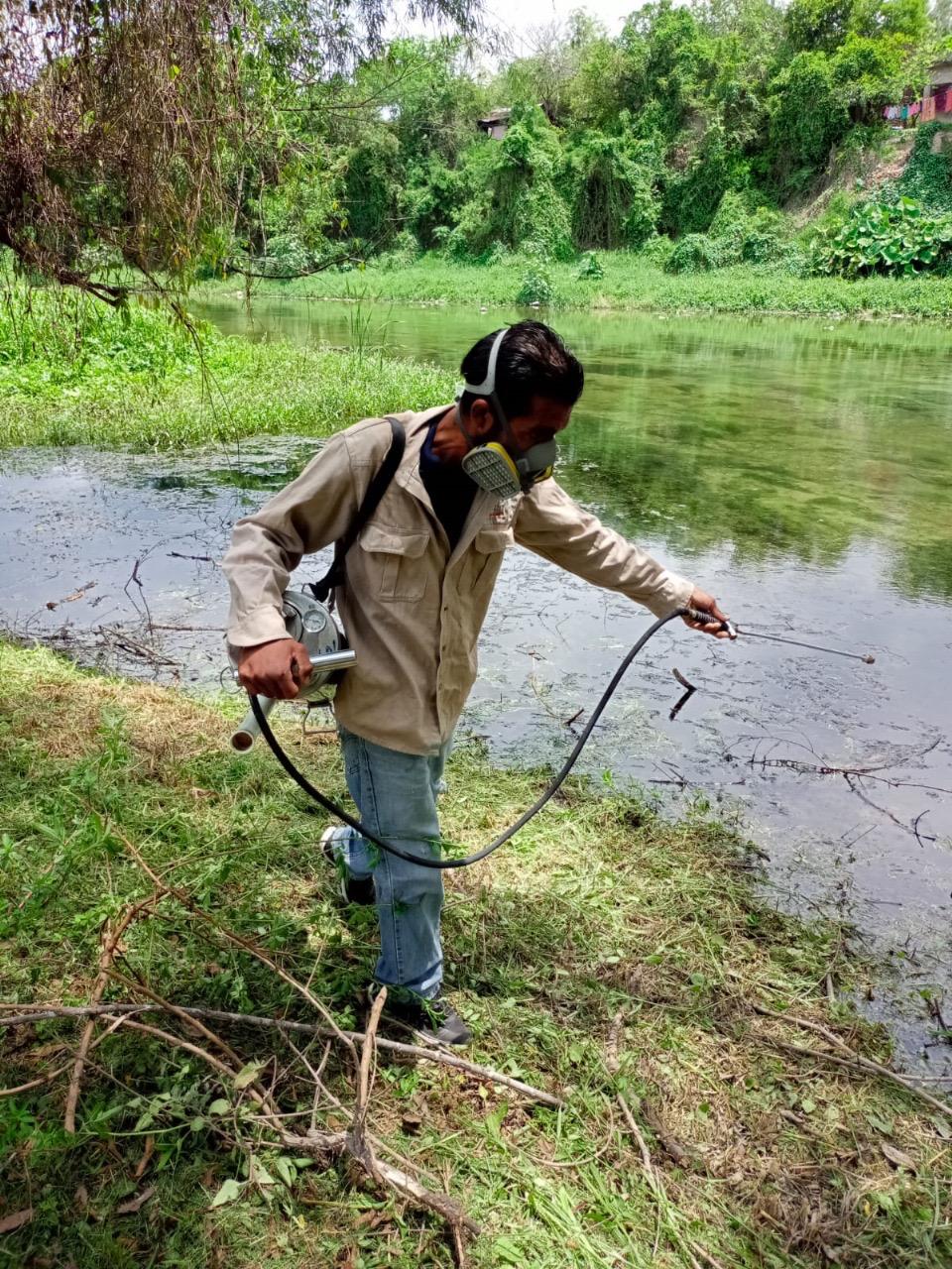 Gobierno estatal refuerza acciones de prevención y combate del dengue