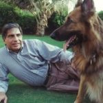 Ratan Tata deja parte de su fortuna a su perro Tito en su testamento