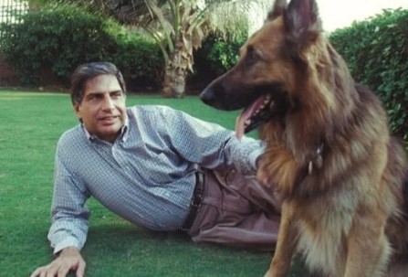 Ratan Tata deja parte de su fortuna a su perro Tito en su testamento